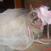 Photo de Vanille