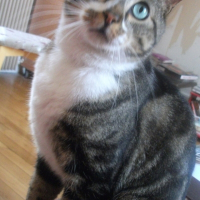 Photo de profil de Lord 