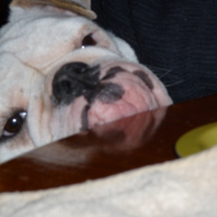 Photo de profil de Chanel
