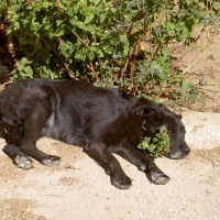 Photo de profil de Mitsy