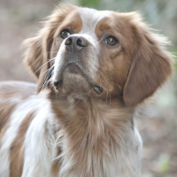 Photo de profil de Canaille