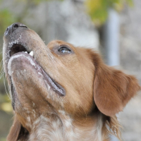 Photo de profil de Casper