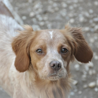 Photo de profil de Cybelle
