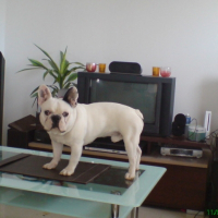 Photo de profil de Jules