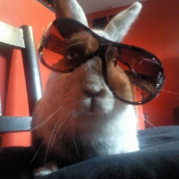 Photo de profil de Dewey