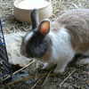 Photo de Zora
