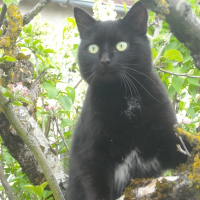 Photo de profil de Bebe