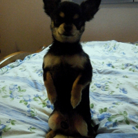 Photo de profil de Mayki