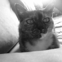 Photo de profil de Canele