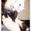 Photo de Wendy