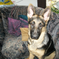 Photo de profil de Elsa