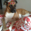 Photo de Keira