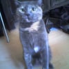 Photo de Lyssia 