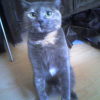 Photo de profil de Lyssia 