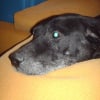 Photo de Ramoutcho