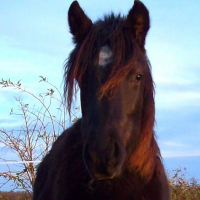 Photo de profil de Utanya