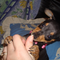 Photo de profil de Bella