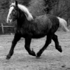 Photo de Vaal