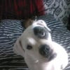 Photo de Chupa