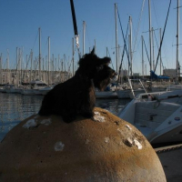 Photo de profil de Eta ya
