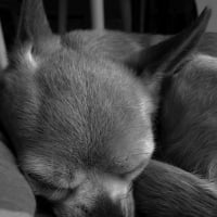 Photo de profil de Nolly