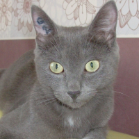 Photo de profil de Moon