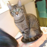 Photo de profil de Kiwi