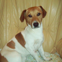 Photo de profil de Milo