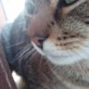 Photo de Kamu