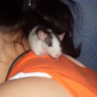 Photo de profil de Djunky