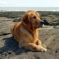 Photo de profil de Brouck