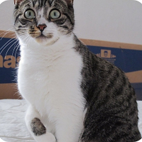 Photo de profil de Cerise