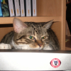 Photo de Bounty