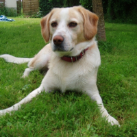 Photo de profil de Zeus