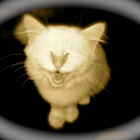 Photo de profil de Dimorhé