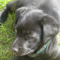 Photo de profil de Réglis