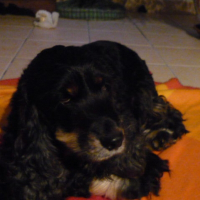 Photo de profil de Ouméa