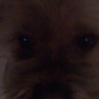 Photo de profil de Elliot