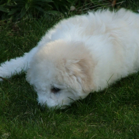 Photo de profil de Elda