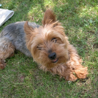 Photo de profil de Rumba