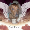 Photo de Maurice