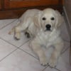 Photo de Edison