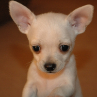 Photo de profil de George