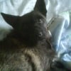 Photo de Cracky