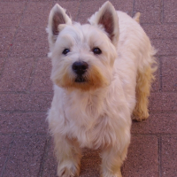 Photo de profil de Milord