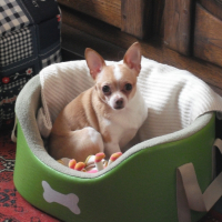 Photo de profil de Lola