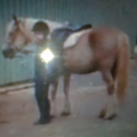 Photo de profil de Homerd