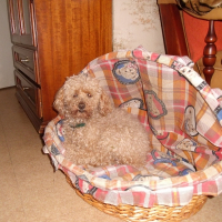 Photo de profil de Keops