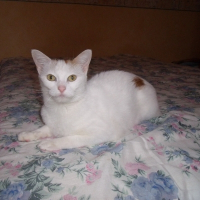 Photo de profil de Luna