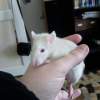 Photo de Alby
